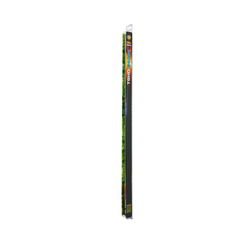 06734_01_36in_bulb