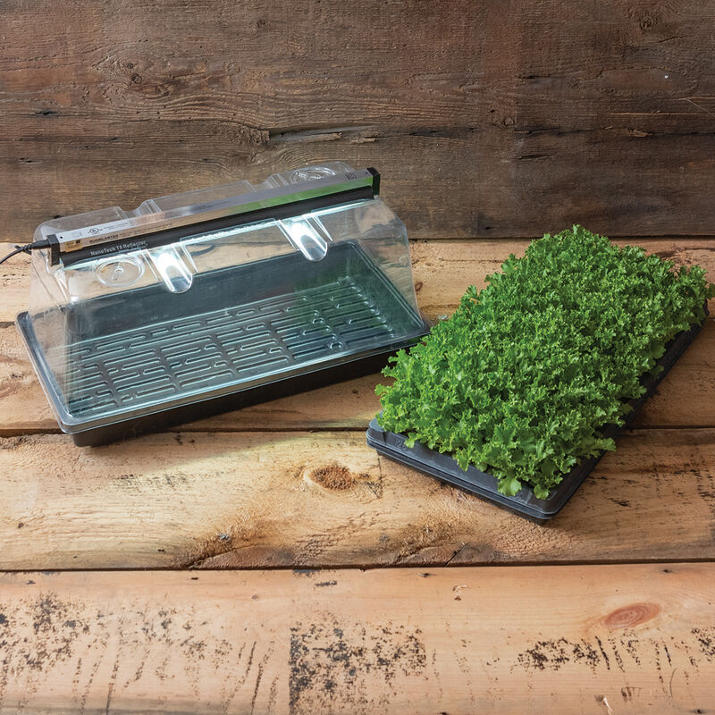 06737_01_mini_greenhouse_kit