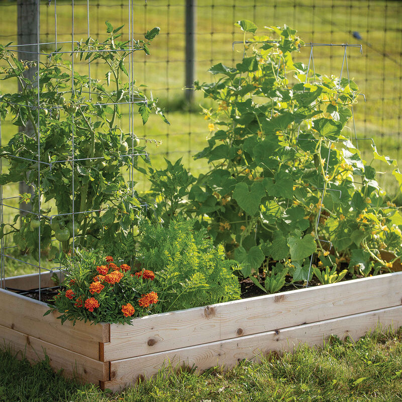 06798_01_cedarraisedbed