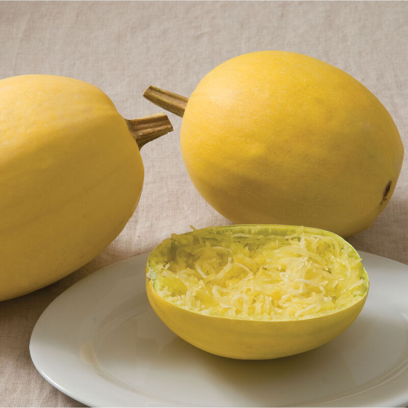 0679g_01_spaghetti_squash