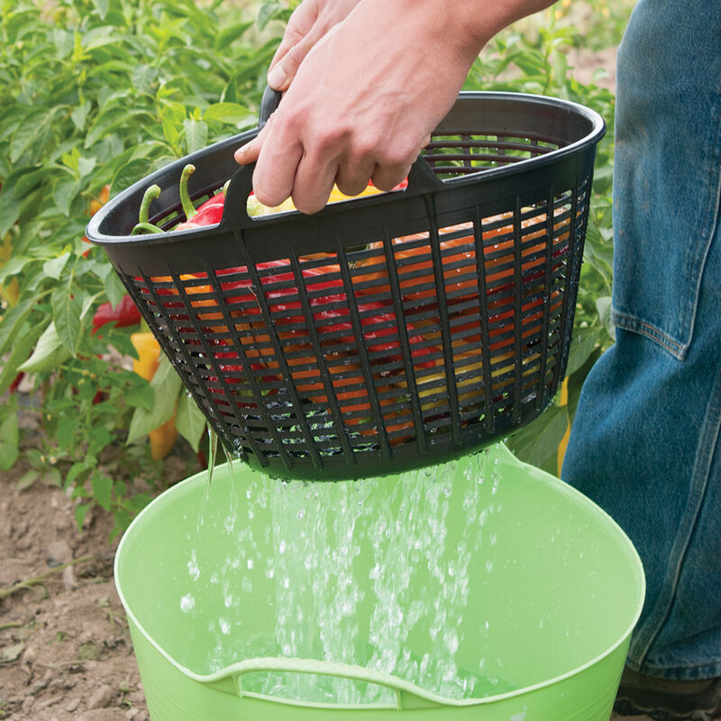07274_02_smalltubtrugcolander