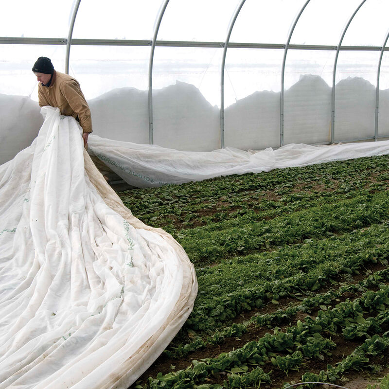 07409_01_agribonag19