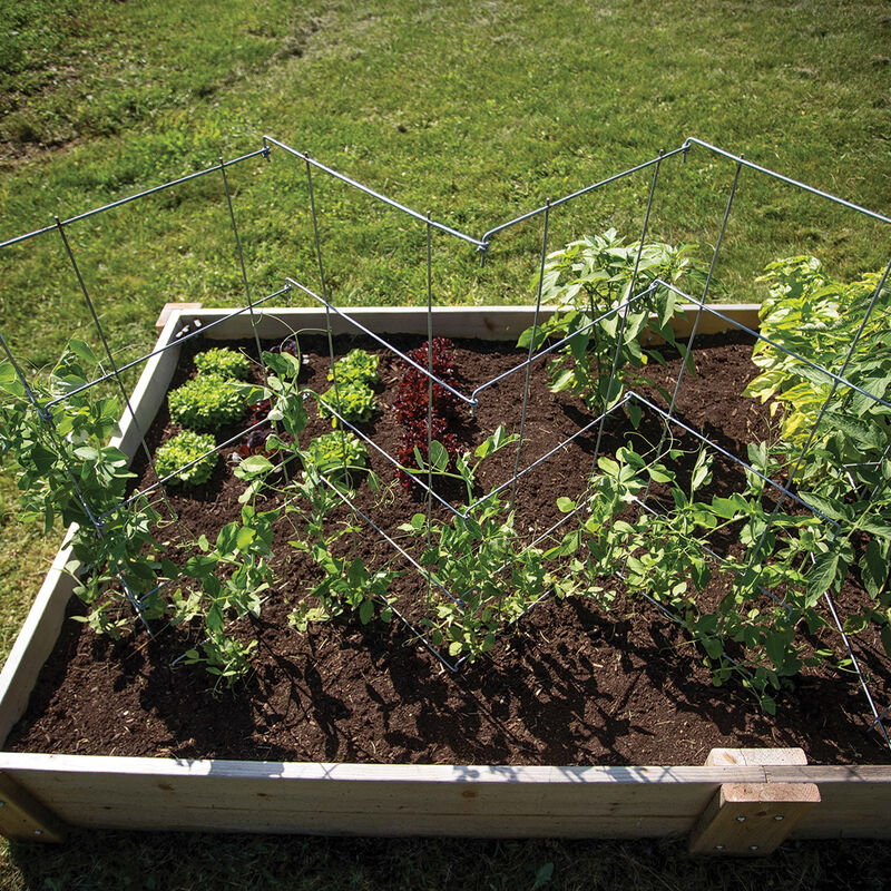 07541_01_peafence