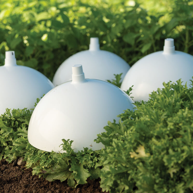 07698_02_blanching_cap
