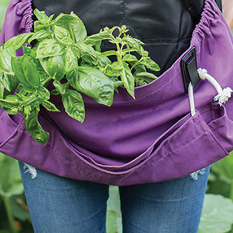 07731_01_joey_apron_purple