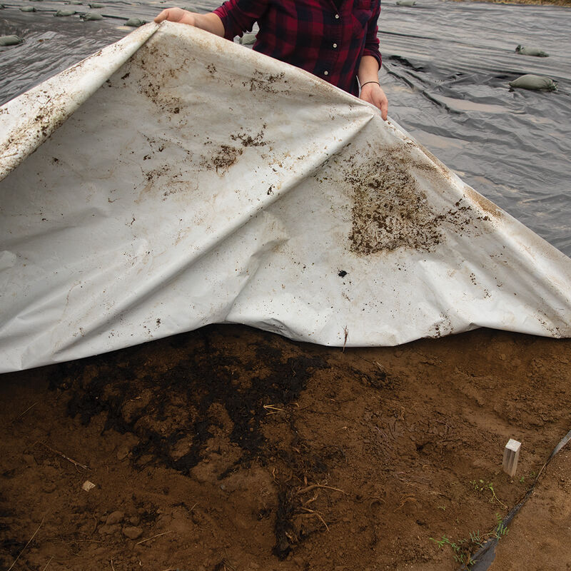 07751_01_silage_tarp