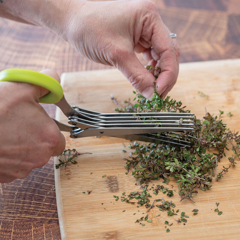 07821_01_triple_herb_scissors