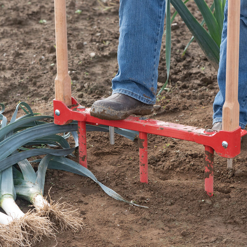07969_01_leek_planter