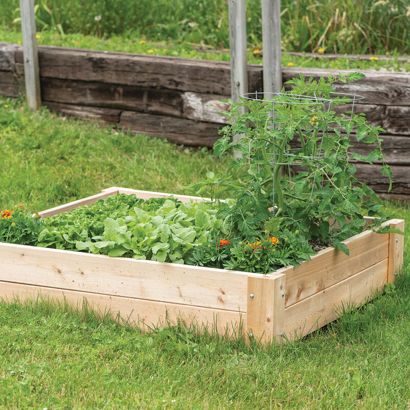 07977_01_cedar_raised_bed