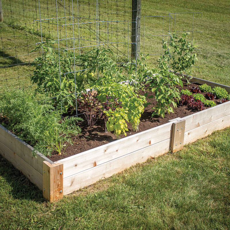 07978_01_cedar_raised_bed