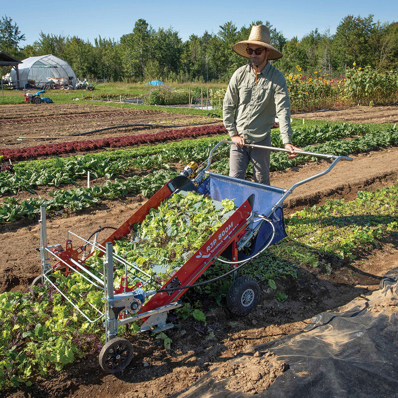 07980_01_babyleafharvester