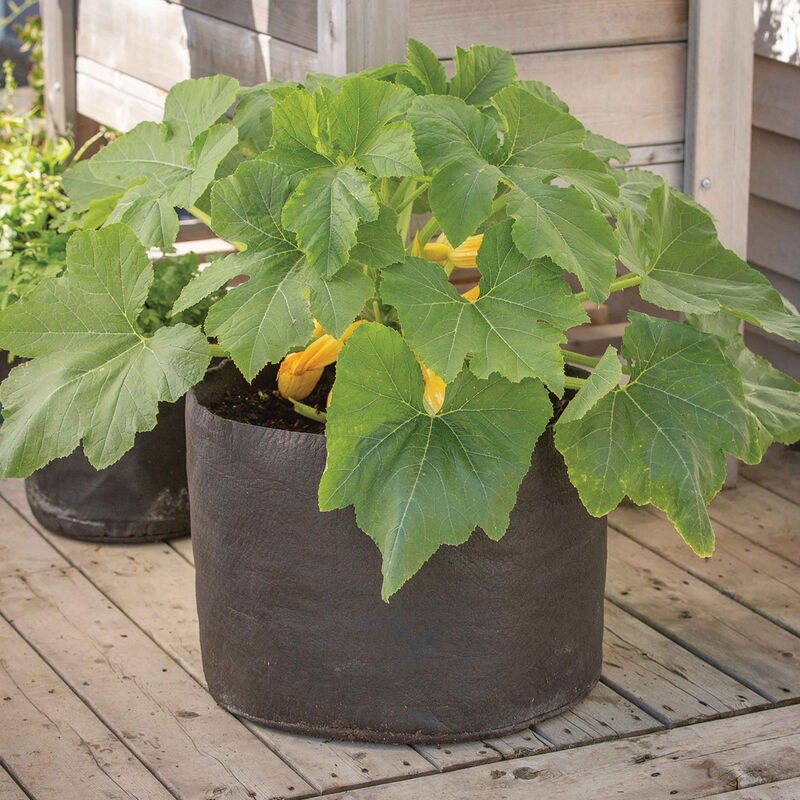 08334_02_smartpot