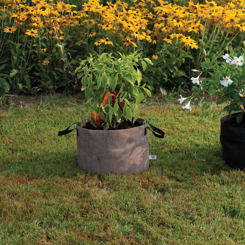 08372_02_natural_smart_pot_10