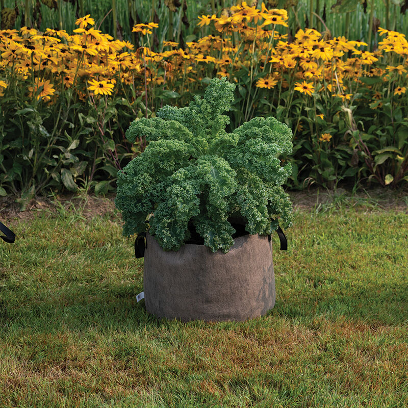 08373_02_natural_smart_pot_15