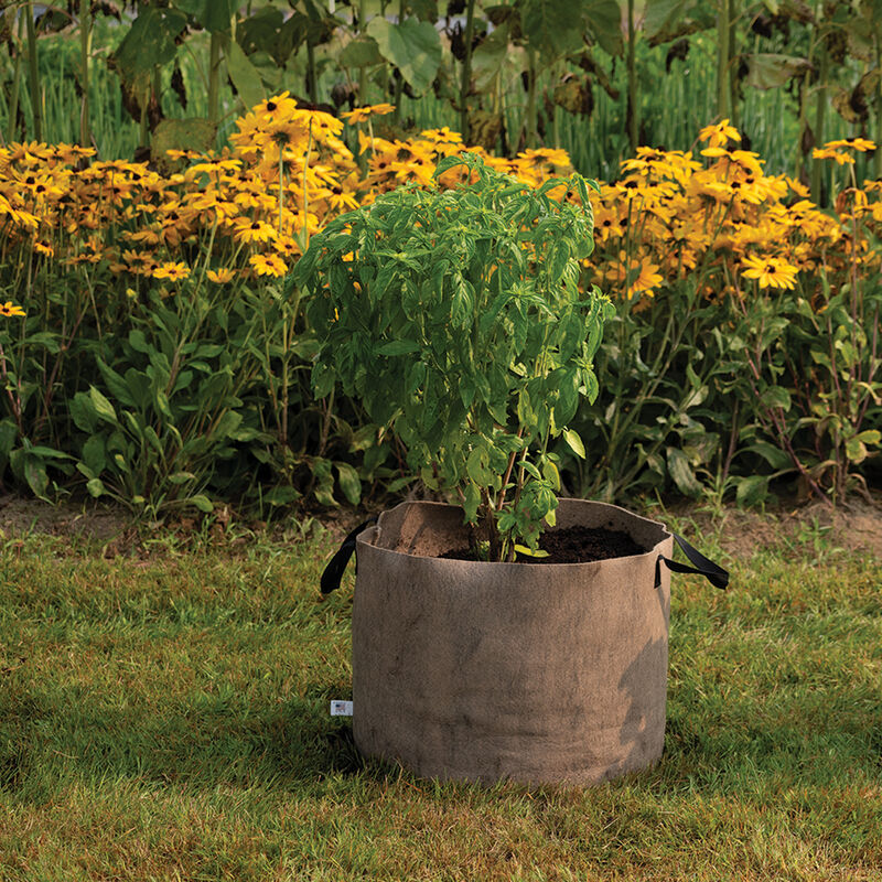 08374_02_natural_smart_pot_20