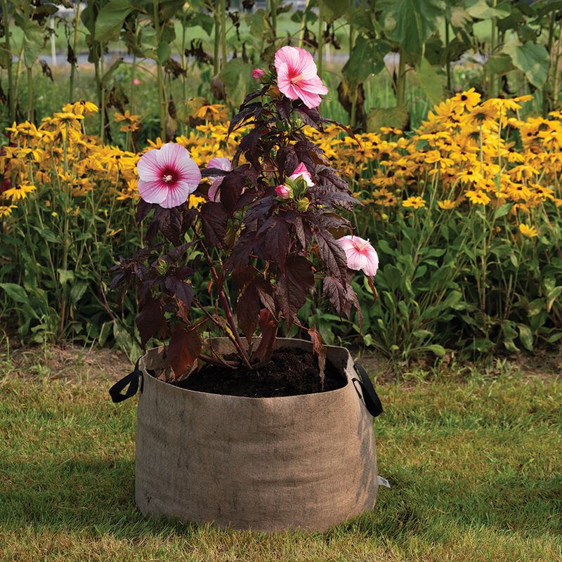 08375_02_natural_smart_pot_30