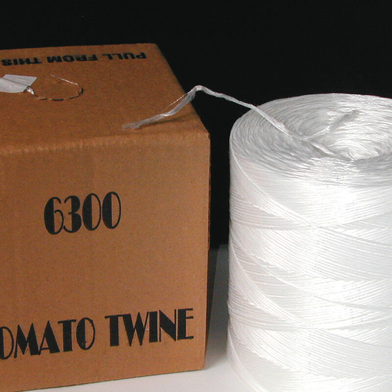 09353_01_tomatotwine
