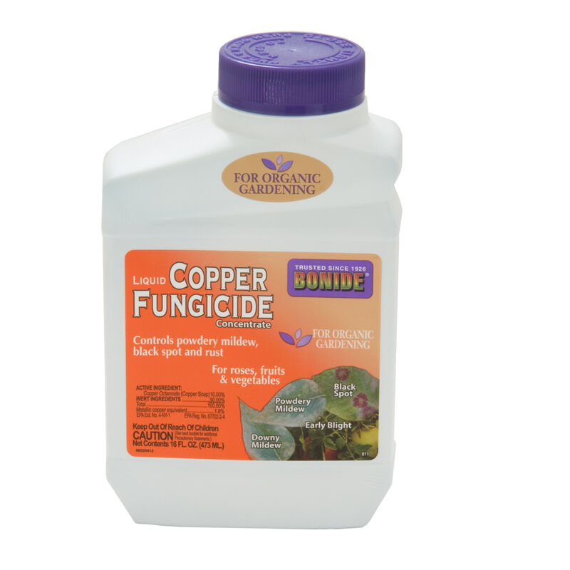 09371_01_liquidcopperpt