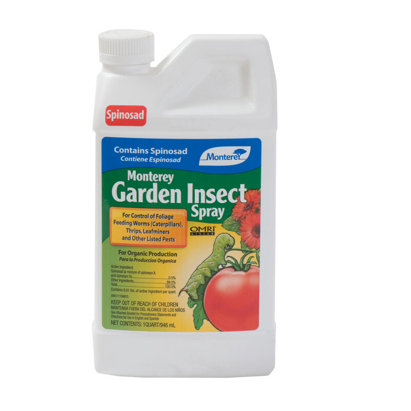09481_01_montereyinsectspry