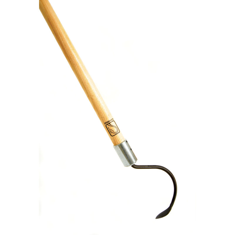 09809_01_lhcobrahead