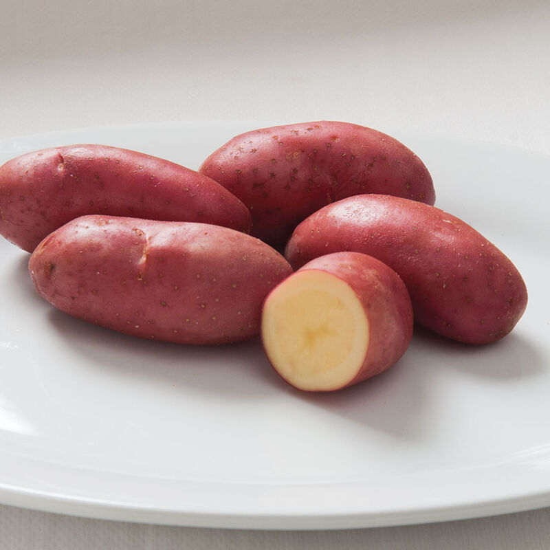 2608_01_french_fingerling_potato