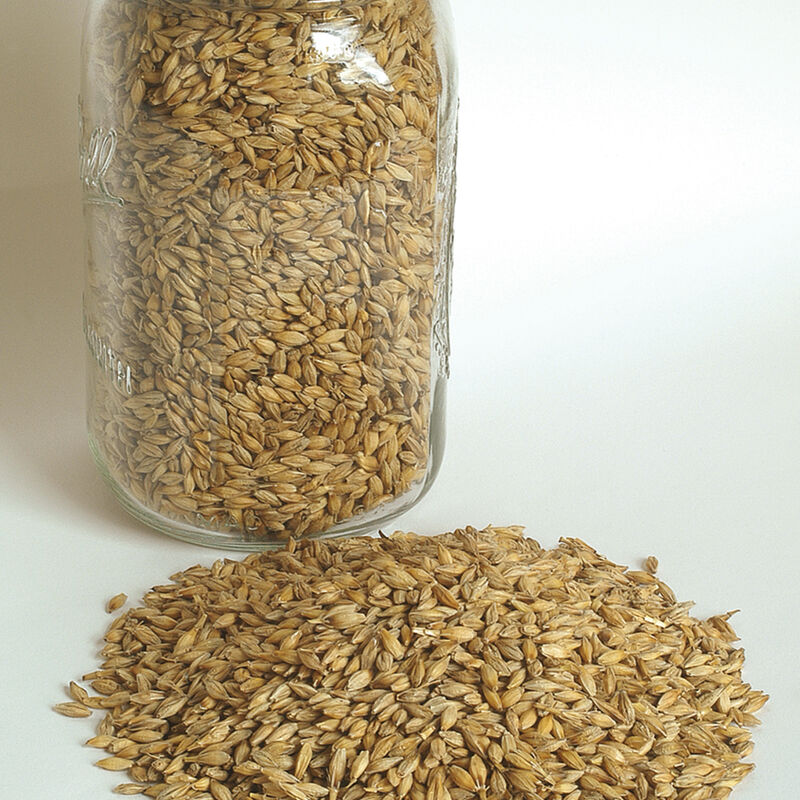 2720g_01_robust_barley