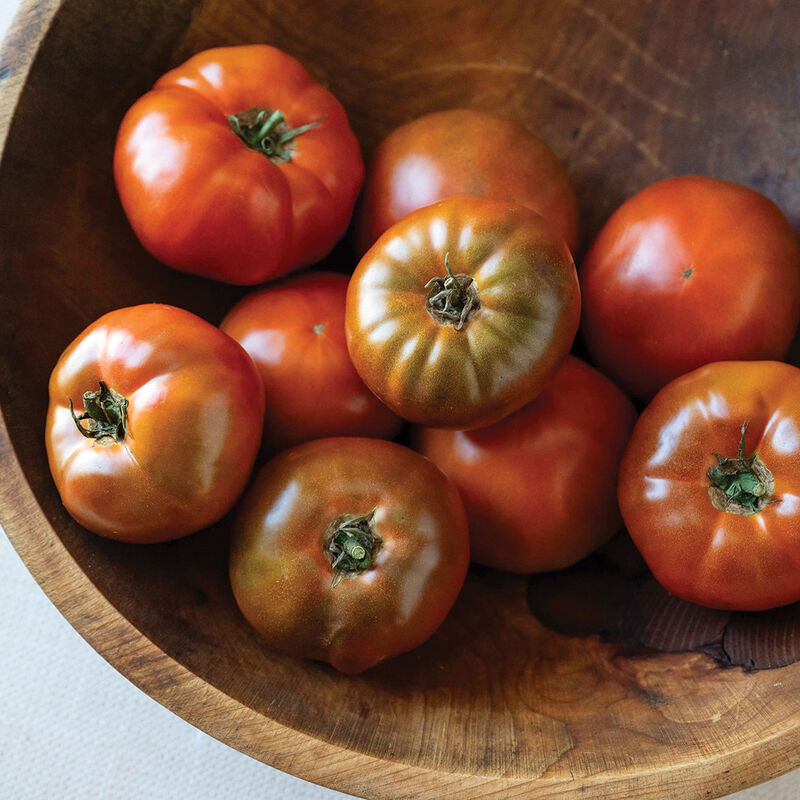 5162g_01_black_angel_tomato