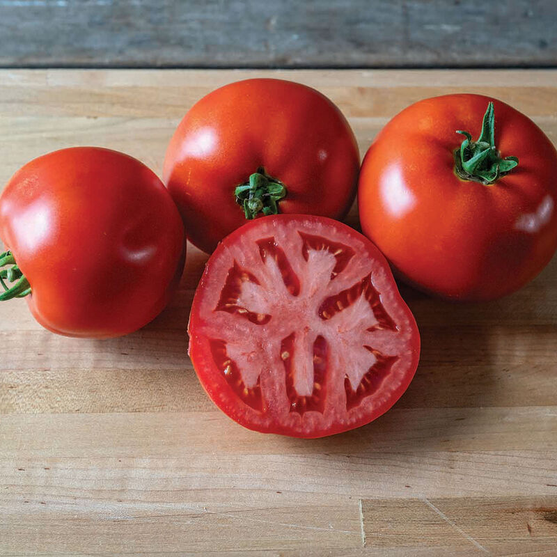 5226_01_firebird_tomato