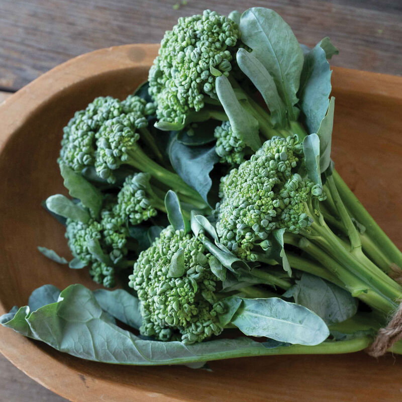 5234_01_sidekick_broccoli