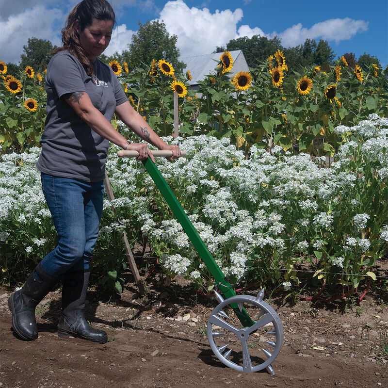 6212_01_single_row_rolling_dibbler