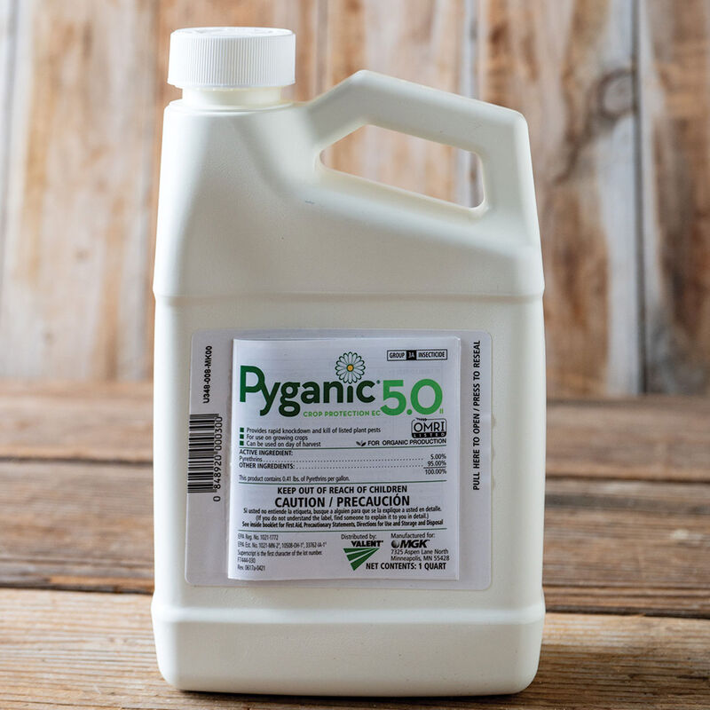 9532_01_pyganic
